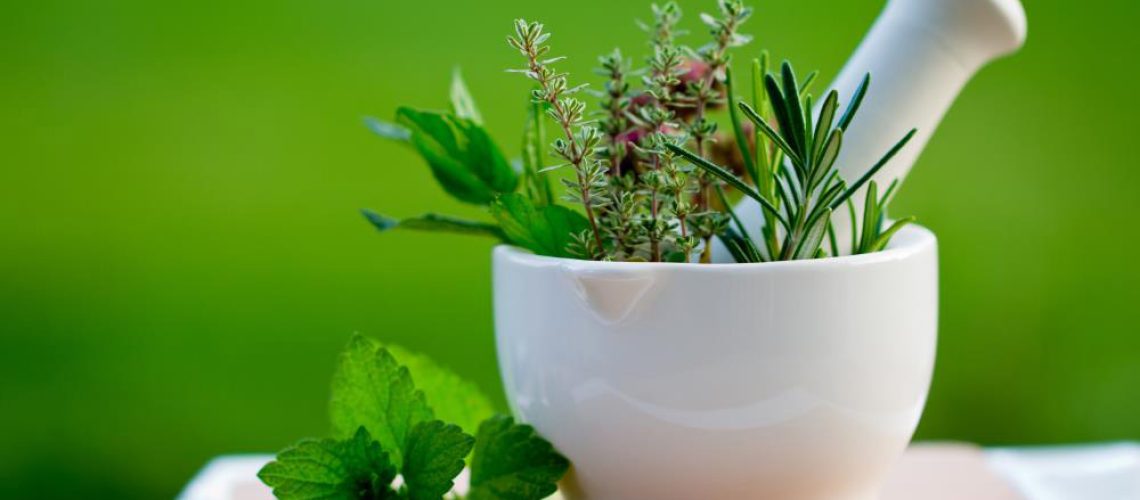 Medicine-Herb-Herbal-Natural-Background-Mortar-Green.jpg