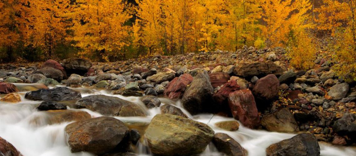 National-Park-Fall-Glacier-Autumn-Flowing-Leaves.jpg