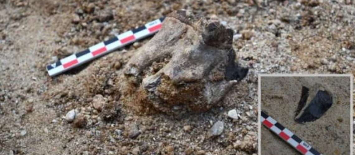 NeanderthalWorkshopT.jpg