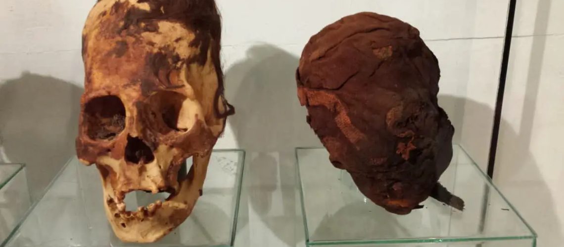 Paracas_skulls-1.jpg