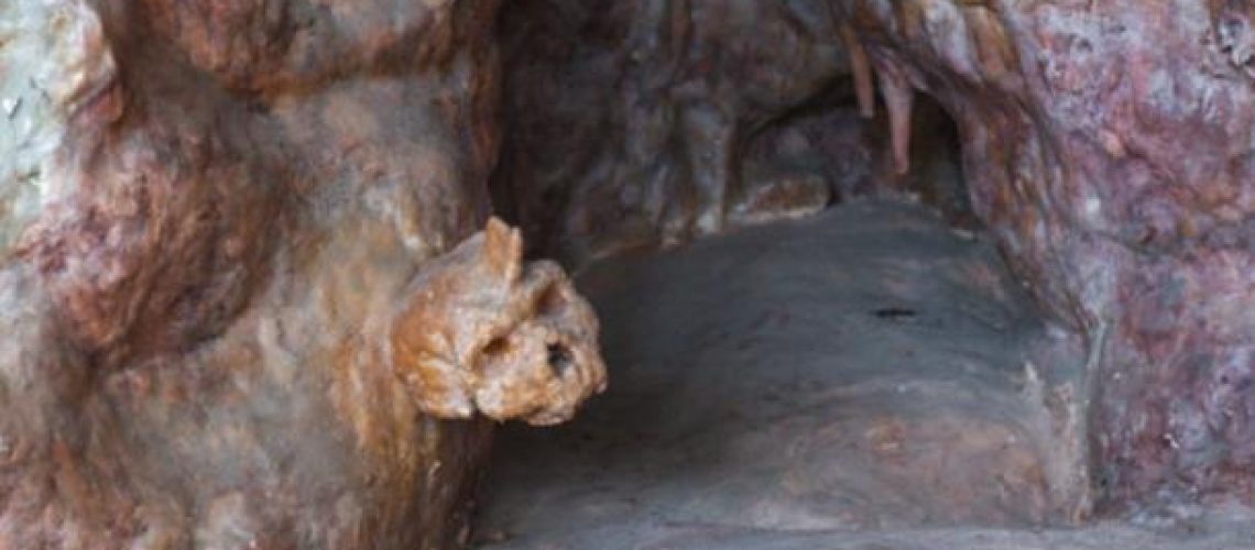 Petralonaskull2.jpg