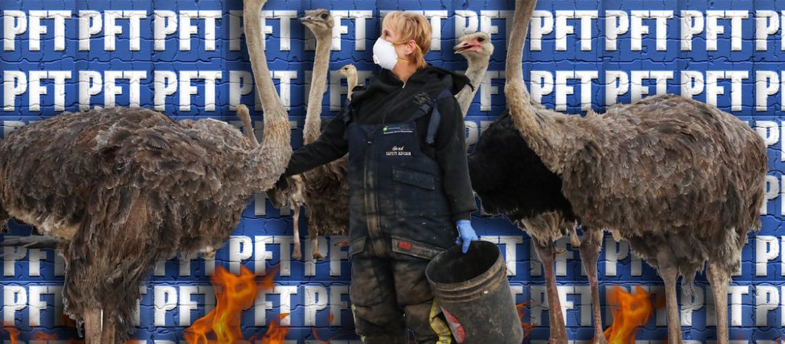 This-Is-Universal-Ostrich-IncNewThumb-copy.jpg