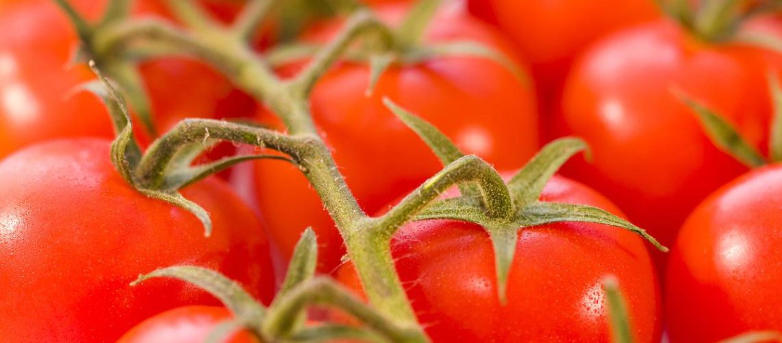 Tomatoes-Fruits-Vegetables.jpg