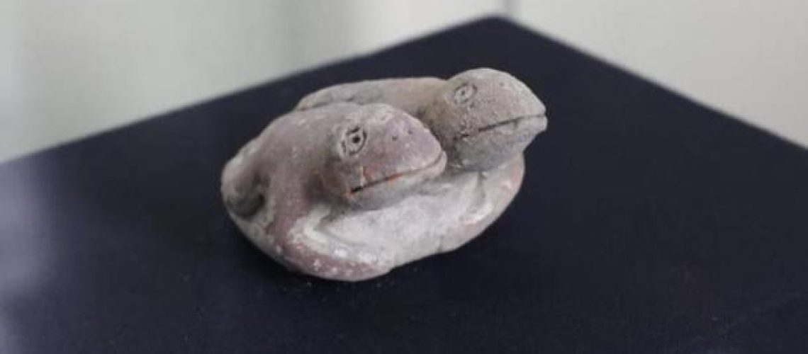 Vichamatoads.jpg