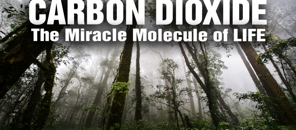 Why-Carbon-Dioxide-is-the-Miracle-Molecule-of-Life-for-GREENING-our-planet-v2.jpg