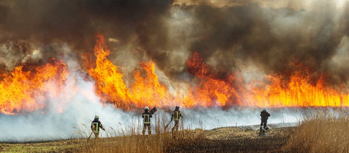 Wildfire-Fire-Flame-Smoke-Firefighters.jpg