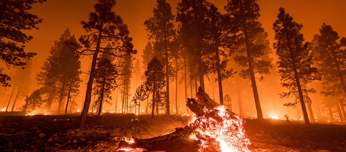 Wildfire-Fire-Smoke-Trees-Forest.jpg