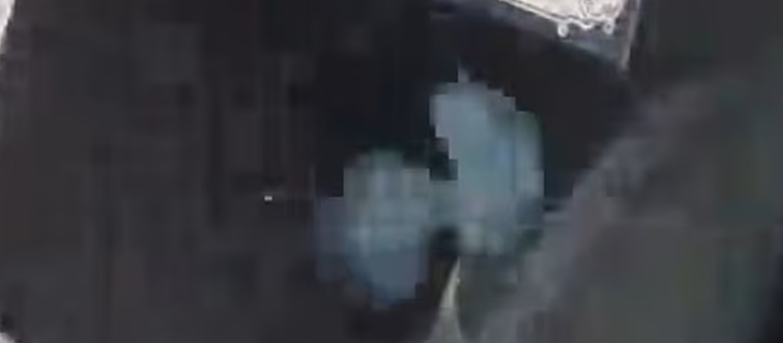 alien.png