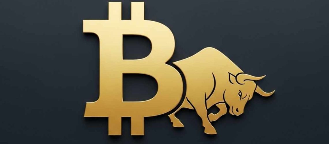 bitwise-bitcoin-no-sell-zone.jpg
