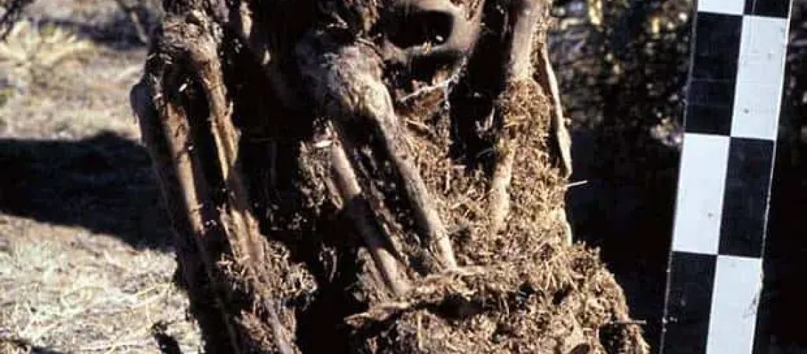 elongated-skulls-patapatani-1-1.jpg