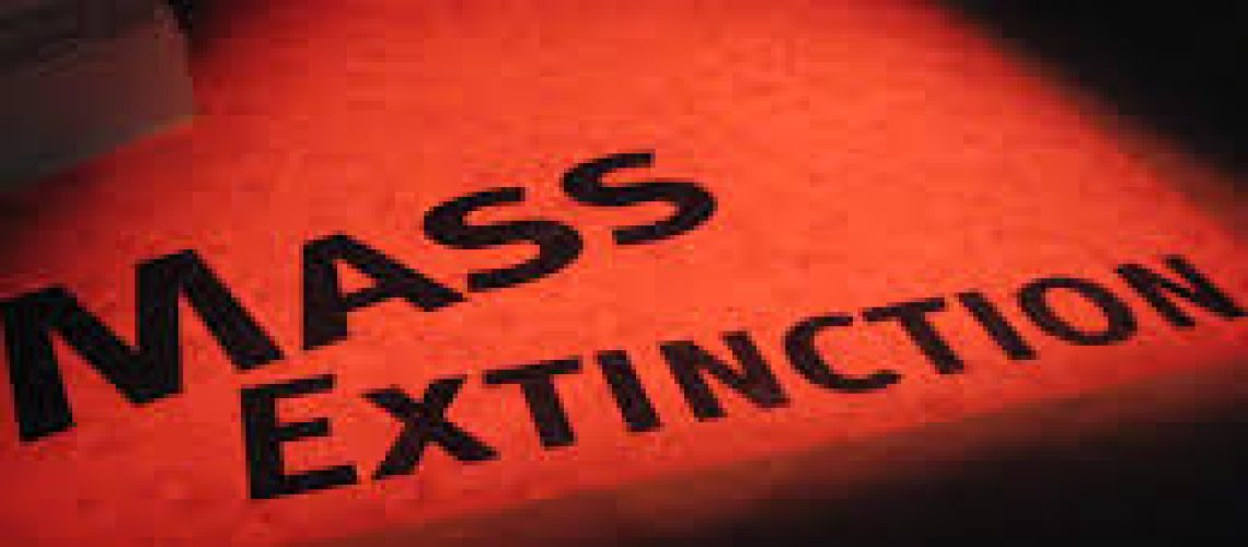 extinction.jpg