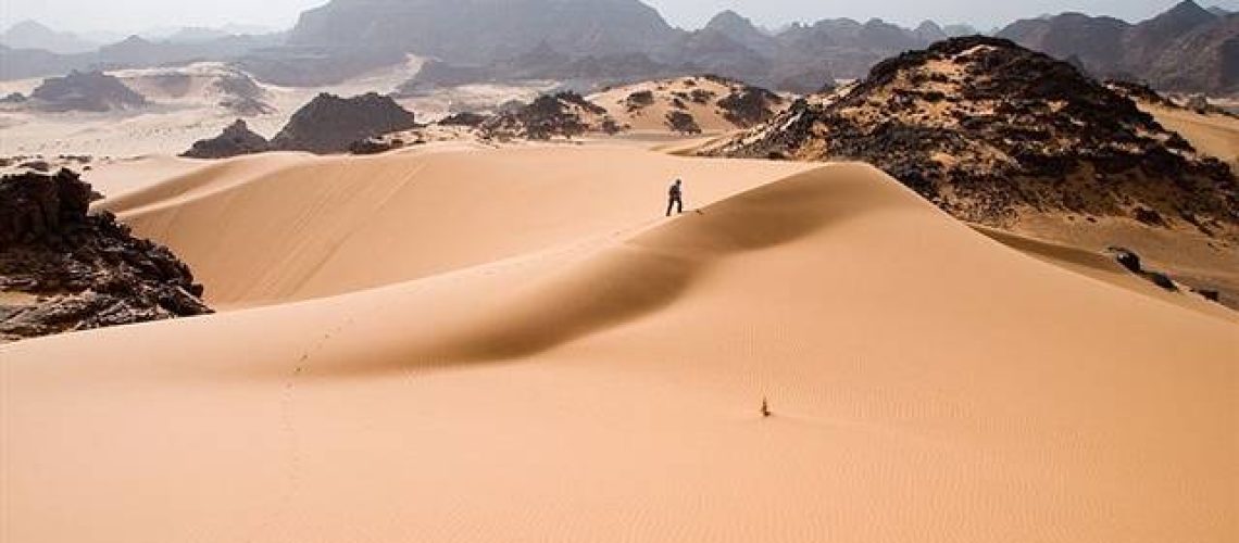 sahara-1.jpg